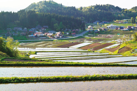 《ふるさとの極み》特別栽培つや姫3kg 棚田米2kg×2 F2Y-1351