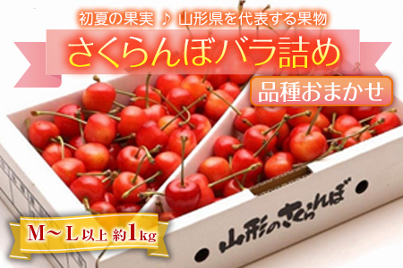 先行予約 初夏の果実 さくらんぼ 約1kg F2y 1712 山形県 県庁 ふるさと納税サイト ふるなび