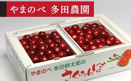 ≪2026年 先行予約≫「山形美人」バラ詰 L～2Lサイズ 500g×2「やまのべ 多田農園」 F2Y-1734