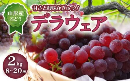 《先行予約 2026年度発送》デラウェア 2kg 8～20房 FSY-0504