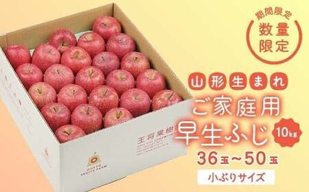 《先行予約 2026年度発送》【王将果樹園】ご家庭用早生ふじ 10kg りんご リンゴ 林檎 デザート フルーツ 果物 くだもの 果実 食品 山形県 FSY-2567
