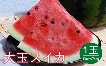 《先行予約 2026年度発送》山形県産 大玉スイカ1玉 L～2Lサイズ／約6～7.9kg スイカ すいか 西瓜 デザート フルーツ 果物 くだもの 果実 食品 山形県 FSY-0400
