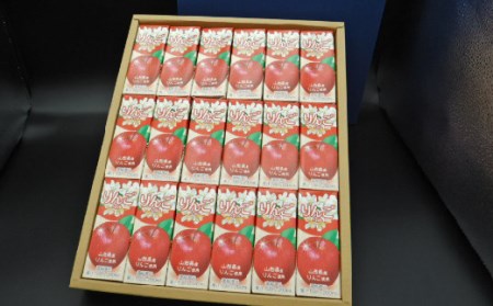 飲む山形 ごちそうジュース りんごジュース 18本入り F2Y-2254