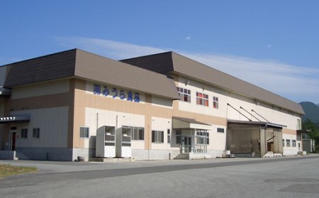 【みうら食品】やっぱり旨い油そば 20食入 F2Y-5576