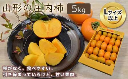 《先行予約 2026年度発送》山形の庄内柿 5kg（27～32玉）L以上 柿 かき デザート フルーツ 果物 くだもの 果実 食品 山形県 FSY-0383