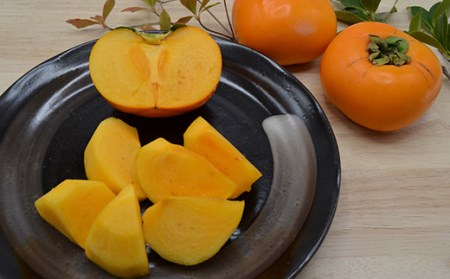 《先行予約 2026年度発送》山形の庄内柿 5kg（27～32玉）L以上 柿 かき デザート フルーツ 果物 くだもの 果実 食品 山形県 FSY-0383