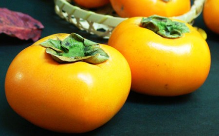 《先行予約 2026年度発送》山形の庄内柿 5kg（27～32玉）L以上 柿 かき デザート フルーツ 果物 くだもの 果実 食品 山形県 FSY-0383