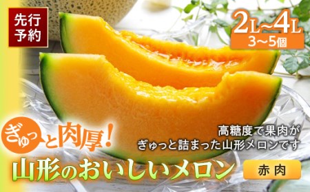 《先行予約 2026年度発送》ぎゅっと肉厚！山形のおいしいメロン【赤肉】 赤肉メロン メロン 赤肉 デザート フルーツ 果物 くだもの 果実 食品 山形県 FSY-0117