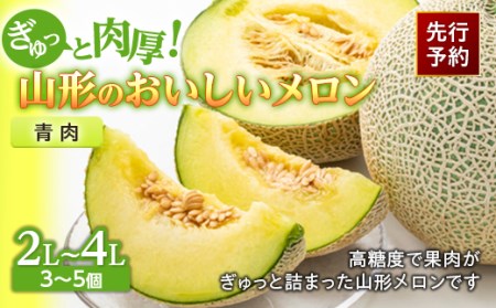 《先行予約 2026年度発送》ぎゅっと肉厚！山形のおいしいメロン【青肉】 青肉メロン メロン 青肉 デザート フルーツ 果物 くだもの 果実 食品 山形県 FSY-0118
