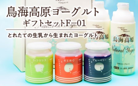鳥海高原ヨーグルト ギフトセットF-01 F2Y-5562