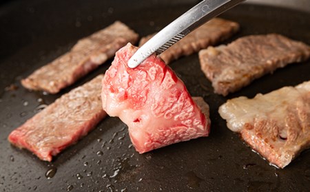 《先行予約 2026年度発送》山形牛と山形さくらんぼ☆贅沢定期便 特Ａ（4回） FSY-0125