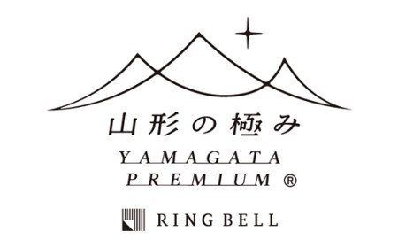 【山形の極み】銘菓の錦屋 佐藤錦羊羹 F2Y-5253