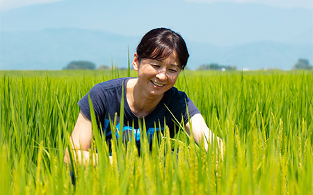 《先行予約》2024年 山形県産 特別栽培米 ひめのもち 100％使用！ 丸もち 白餅 6個入り6袋(300g×6) 2024年12月下旬頃から順次発送 F2Y-5310
