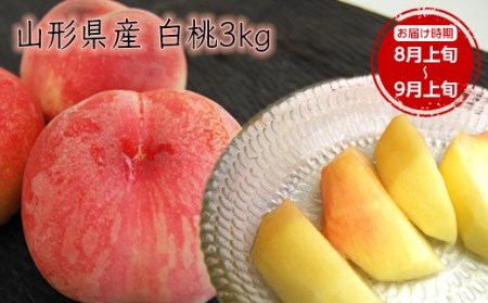 《先行予約 2026年度発送》【山形県産】白桃3kg(7～12玉) もも モモ 桃 デザート フルーツ 果物 くだもの 果実 食品 山形県 FSY-0385 6,840円
