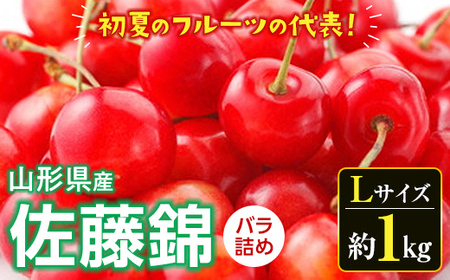 《先行予約 2025年度発送》さくらんぼ 佐藤錦（Lサイズ）バラ詰め 約1kg FSY-0530