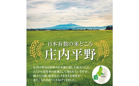 山形県の人気ブランド米「つや姫5kg」と「酒田の塩・浅漬の素1袋」セット F2Y-3783