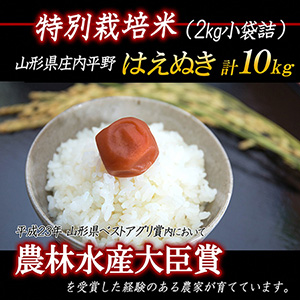 【令和5年産米】 特別栽培米 はえぬき 精米 2kg×5袋 山形県庄内産 F2Y-3127