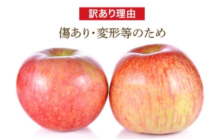 《2023年先行予約》りんご「ふじりんご」訳あり 10kg ふじりんご りんご リンゴ 林檎 山形県産 フルーツ 果物 FSY-0047