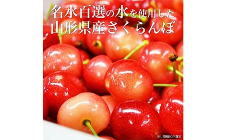 《先行予約 2026年6月中旬発送》山形県産さくらんぼ紅秀峰 秀品 2L玉 500gパック 化粧箱入り FSY-0008