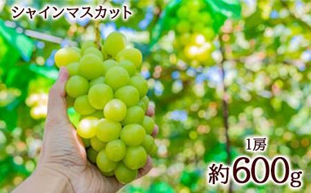 《2026年先行予約》みちのく 夏秋実りギフト 定期便 全3回 FSY-2360