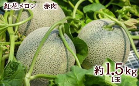 《2026年先行予約》みちのく【大暑】夏のフルーツ定期便 全4回 FSY-2389