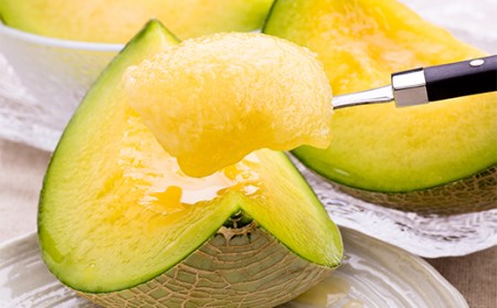 ≪先行予約令和8年度発送≫ 希少【庄内砂丘メロン】夏ギフト 紅花メロン(赤肉)とアンデスメロン(青肉)【みちのくギフト】 メロン デザート フルーツ 果物 くだもの 果実 食品 山形県 FSY-0035