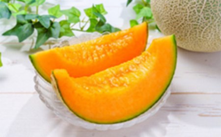 ≪先行予約令和8年度発送≫ 希少【庄内砂丘メロン】夏ギフト 紅花メロン(赤肉)とアンデスメロン(青肉)【みちのくギフト】 メロン デザート フルーツ 果物 くだもの 果実 食品 山形県 FSY-0035