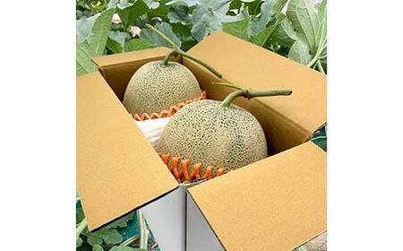 ≪先行予約令和8年度発送≫ 希少【庄内砂丘メロン】夏ギフト 紅花メロン(赤肉)とアンデスメロン(青肉)【みちのくギフト】 メロン デザート フルーツ 果物 くだもの 果実 食品 山形県 FSY-0035