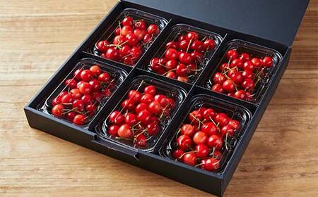 《先行予約 2026年度発送》山形特産 朝摘さくらんぼ直送便 佐藤錦 秀 L 1.2kg FSY-0121