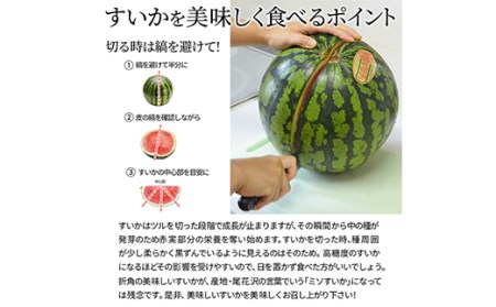 《先行予約 令和6年7月中旬発送》山形県産 尾花沢すいか 秀品 1玉 （約9～10kg前後） FSY-0452