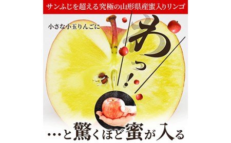 先行予約・令和5年11月中旬発送】山形県 蜜入りりんご 高徳 2kg 蜜入り