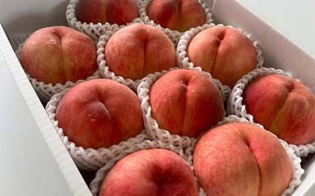 《先行予約 2026年発送》山形フルーツめぐり定期便【全5回】 FSY-2334