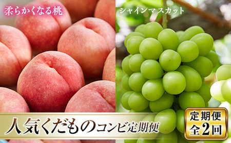 《先行予約 2026年発送》人気くだものコンビ！定期便～ももとシャインマスカット～ もも モモ 桃 デザート フルーツ 果物 くだもの 果実 食品 山形県 FSY-2450