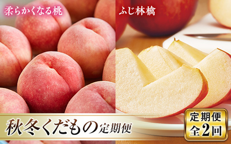 《先行予約 2026年発送》秋冬定期便～もも・りんご～ もも モモ 桃 デザート フルーツ 果物 くだもの 果実 食品 山形県 FSY-2452
