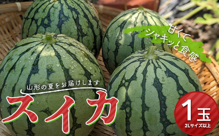 《先行予約 2026年発送》山形県産 スイカ 1玉 スイカ すいか 西瓜 デザート フルーツ 果物 くだもの 果実 食品 山形県 FSY-0168