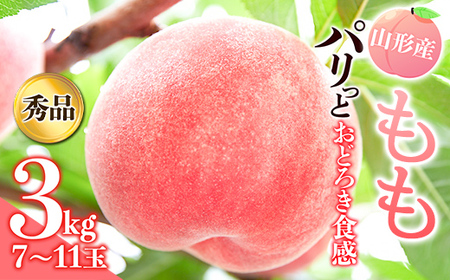 《先行予約 2026年発送》パリっとおどろき食感！山形産もも3kg もも モモ 桃 デザート フルーツ 果物 くだもの 果実 食品 山形県 FSY-2473