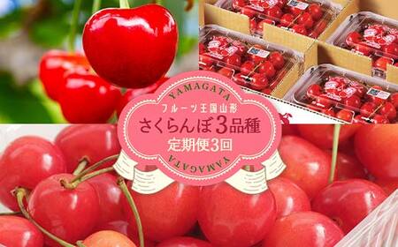 【先行予約 2026年度発送】♪フルーツ王国山形♪さくらんぼ3品種 秀品 定期便3回 FSY-0377