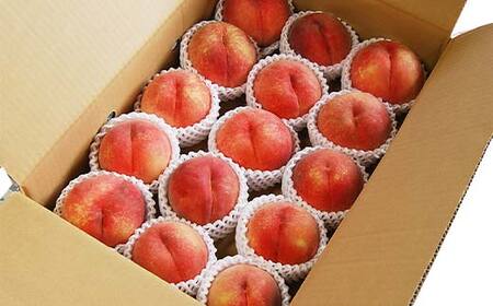 《先行予約 2026年度発送》【山形県産】白桃5kg(小玉20～25玉) もも モモ 桃 デザート フルーツ 果物 くだもの 果実 食品 山形県 FSY-2501