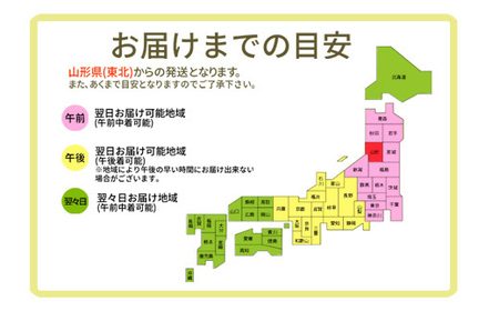 りんご 訳あり サンふじ 10kg (約30～44玉) 山形県産 《先行予約 2024年11月中旬から発送開始》  リンゴ 林檎 デザート フルーツ 果物 くだもの 果実 食品 山形県 FSY-0734