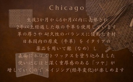 LUEGO Chicago シカゴ 総革 パスケース F2Y-3281