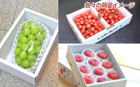 《先行予約 2026年6月上旬発送開始 定期便》プレミアムフルーツ（さくらんぼ 桃 シャインマスカット） FSY-2366