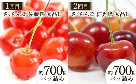 【2026年先行予約 定期便8回】 おいしい山形 旬のフルーツ定期便 FSY-2321