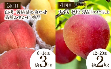 【2026年先行予約 定期便8回】 おいしい山形 旬のフルーツ定期便 FSY-2321