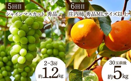 【2026年先行予約 定期便8回】 おいしい山形 旬のフルーツ定期便 FSY-2321