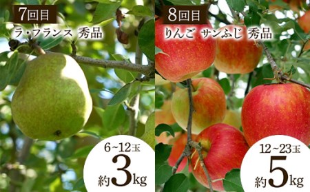 【2026年先行予約 定期便8回】 おいしい山形 旬のフルーツ定期便 FSY-2321