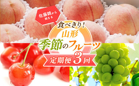 【2025年先行予約 定期便3回】 佐藤錦から始まる食べきり！山形季節のフルーツ定期便 FSY-0573