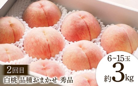 【2026年先行予約 定期便3回】 満腹！山形 季節のフルーツ定期便 FSY-2319