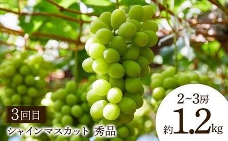 【2026年先行予約 定期便3回】 満腹！山形 季節のフルーツ定期便 FSY-2319