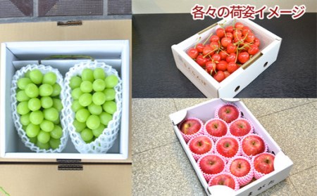 《先行予約 2026年6月上旬発送開始 定期便》プレミアムフルーツ (さくらんぼ シャインマスカット 高徳りんご) FSY-2368
