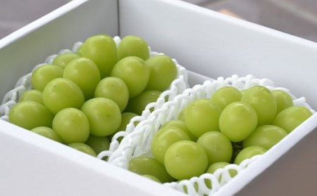 《先行予約 2026年6月上旬発送開始 定期便》プレミアムフルーツ (さくらんぼ シャインマスカット 高徳りんご) FSY-2368